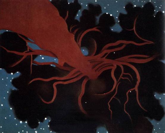 1507161_1406434422935437_1495869536_n