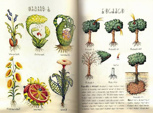 1618121_1420971361481743_1869566328_o