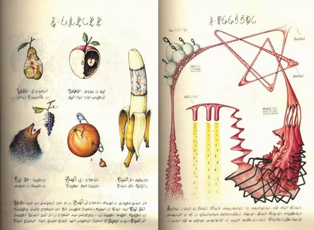 1913278_1420970371481842_423681835_o